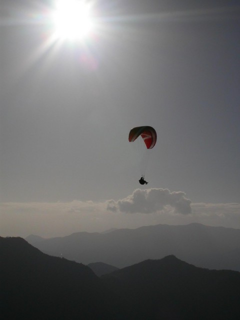 Volo d'autunno