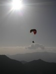 Volo d'autunno