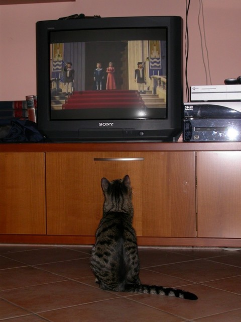 Quando arriva il gatto con gli stivali?