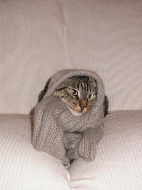 Che freddo!